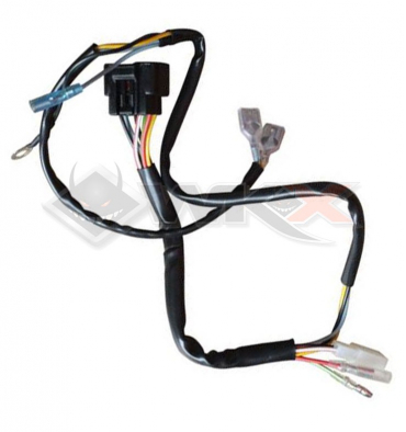Piece Faisceau &eacute;lectrique DAYTONA de Pit Bike et Dirt Bike