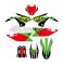 Piece Kit d&eacute;coration YCF BIGY RACING VERT 2022 de Pit Bike et Dirt Bike