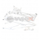 Piece Cadre CRF 70 de Pit Bike et Dirt Bike