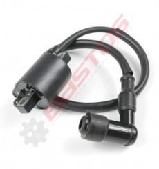 Piece Bobine d'allumage haute tension LIFAN de Pit Bike et Dirt Bike