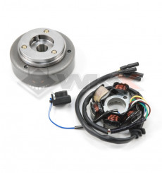 Piece Allumage rotor + stator pour moteur d&eacute;marreur &eacute;lectrique de Pit Bike et Dirt Bike