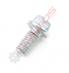 Piece Vis hexagonale M6x8 de Pit Bike et Dirt Bike