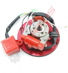 Piece Allumage rotor Interne + CDI de Pit Bike et Dirt Bike